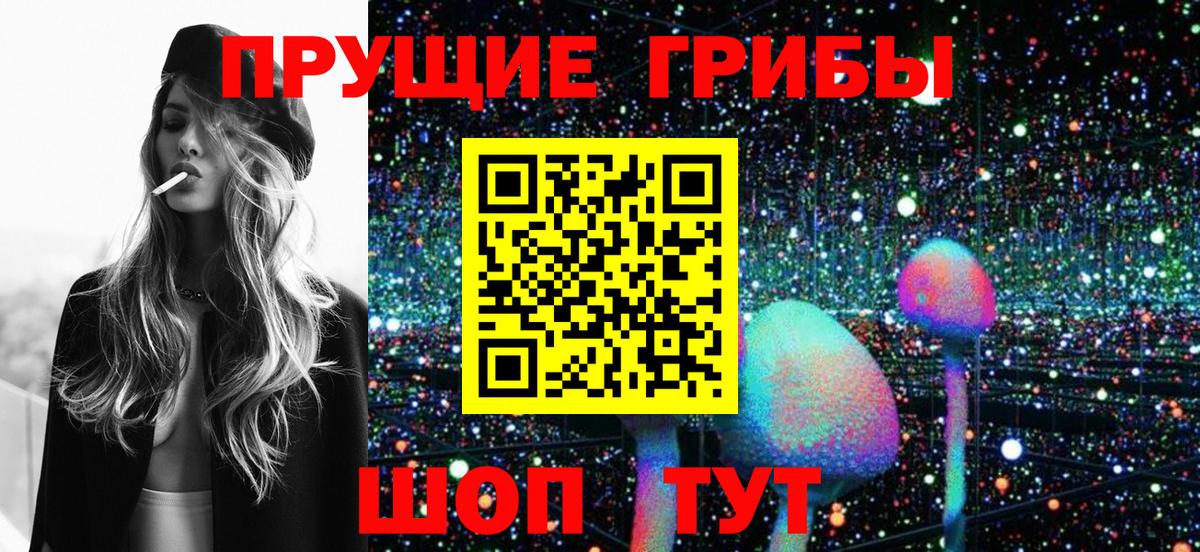 Псилоцибиновые грибы Psilocybe Коркино