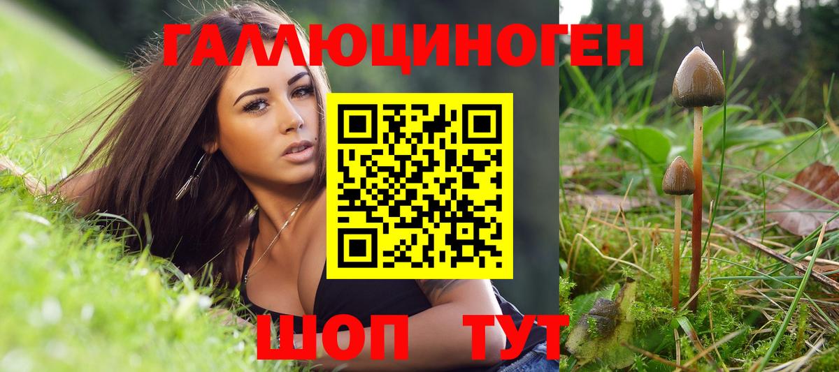 Галлюциногенные грибы Cubensis  Вход с VPN  Коркино 